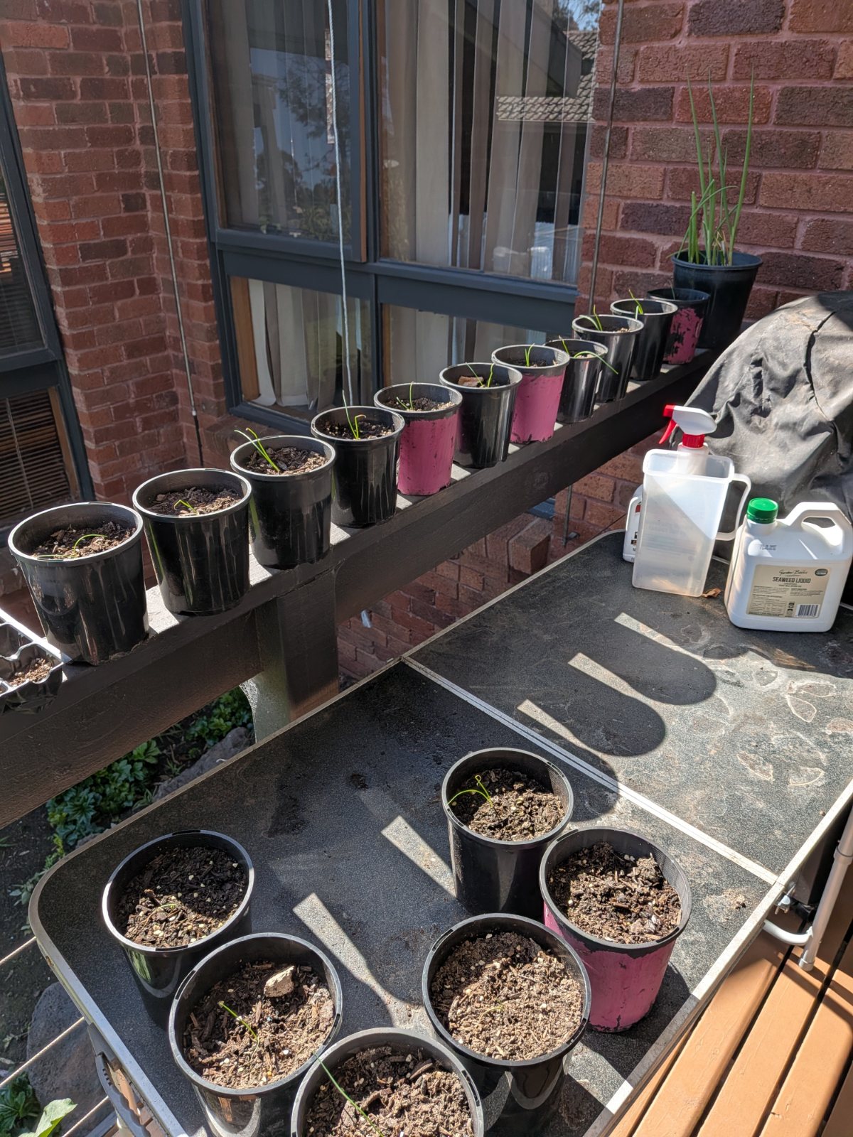 Two black nursery pots viewed from above next to an open bag of potting mix